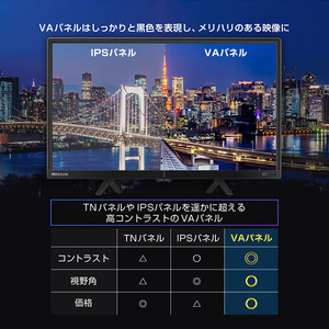 MAXZEN マクスゼン J24CH06 [24型 地上・BS・110度CSデジタル 