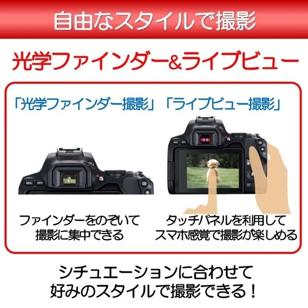 CANON EOS Kiss X10 ダブルズームキット ブラック [デジタル一眼レフ