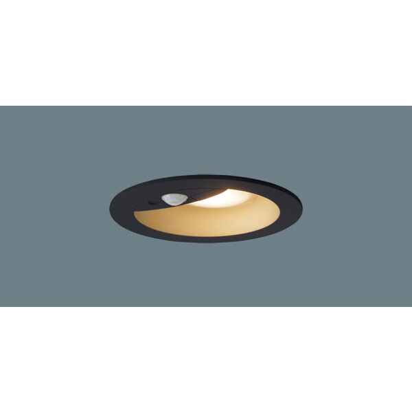 PANASONIC LGDC1107LLE1 [LED_ECg (dF)]