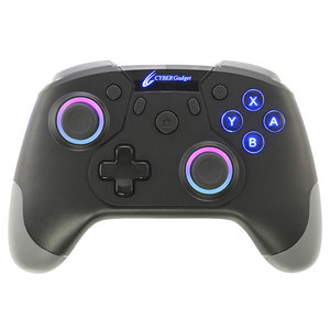 TVゲーム用アクセサリ・周辺機器