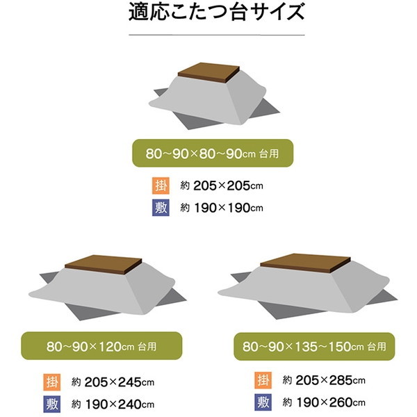 イケヒコ・コーポレーション 1160720130301 ムーブ 掛敷セット こたつ