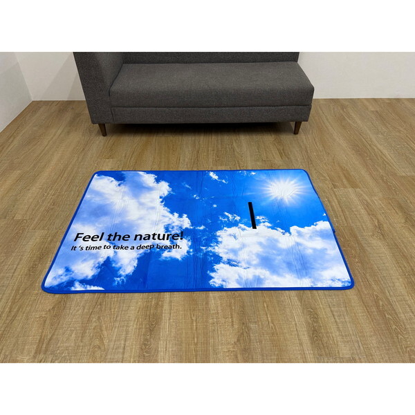 ラグ 90×130」の人気商品一覧 | 安い商品を通販サイトから探す - 価格.com