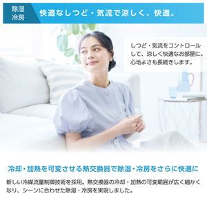 DAIKIN S403ATRP-W ホワイト うるさらX RXシリーズ [エアコン(主に14畳