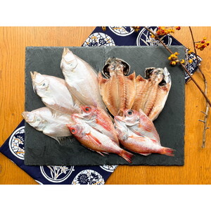 魚介類・海産物