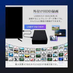 MAXZEN マクスゼン J50CHS06 [50型 地上・BS・110度CSデジタル フル