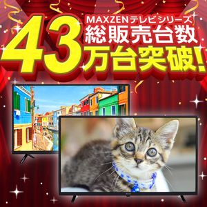 MAXZEN マクスゼン J50CHS06 [50型 地上・BS・110度CSデジタル フル