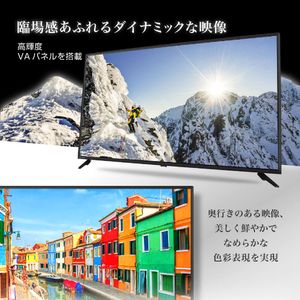 MAXZEN マクスゼン J50CHS06 [50型 地上・BS・110度CSデジタル フル