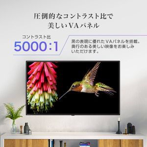 MAXZEN マクスゼン J50CHS06 [50型 地上・BS・110度CSデジタル フル