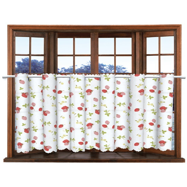 aOrA VhhJrUVJbgJtFJ[e CFC-100 45×150cm 3