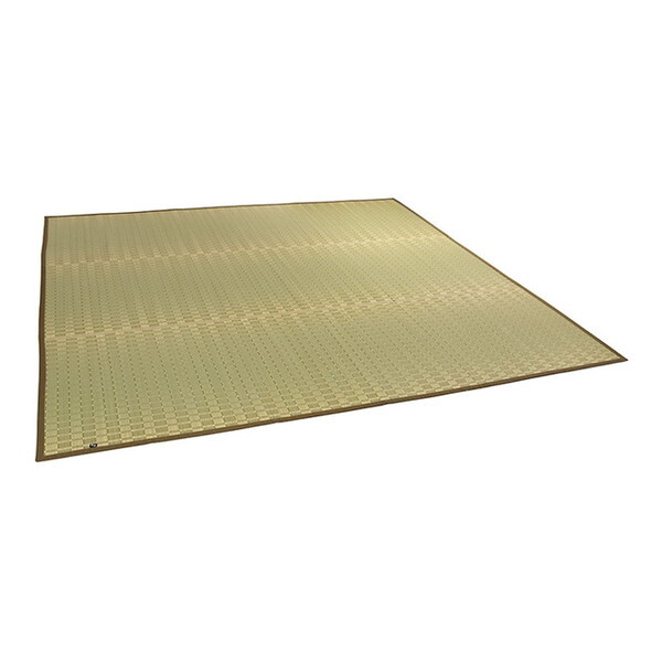 CPqRER[|[V 1080060120302 Y |D Ԃ  ~ J[ybg O[ ]ˊ3 (174×261cm)