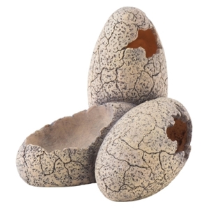 その他爬虫類・両生類用品