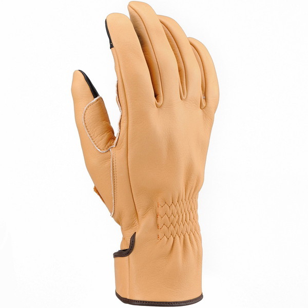 fCgi D96842 HBG-039 D O i` M