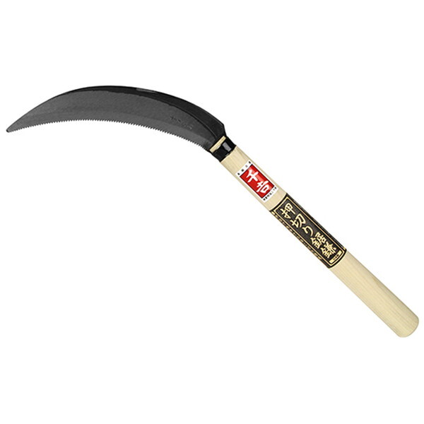 Y ؂苘 170mm
