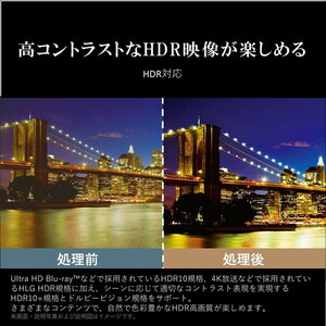 TVS REGZA 65M550M REGZA M550Mシリーズ [65型 地上・BS・110度