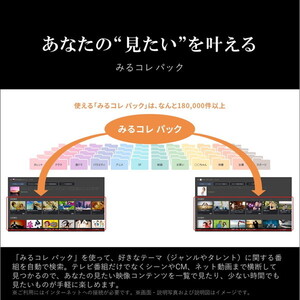 TVS REGZA 65M550M REGZA M550Mシリーズ [65型 地上・BS・110度