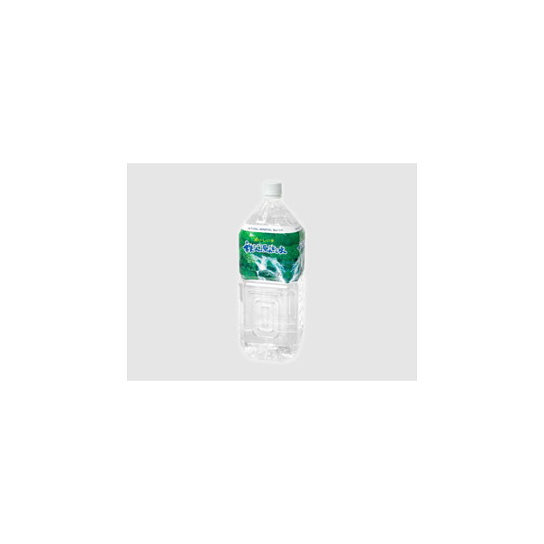  2L ×6