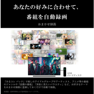 ⭐︎激レア盤⭐︎ Kazumi / 情熱　（美品）送料無料 TVS REGZA 50M550M REGZA [50V型 地上・BS・110度CSデジタル 4K