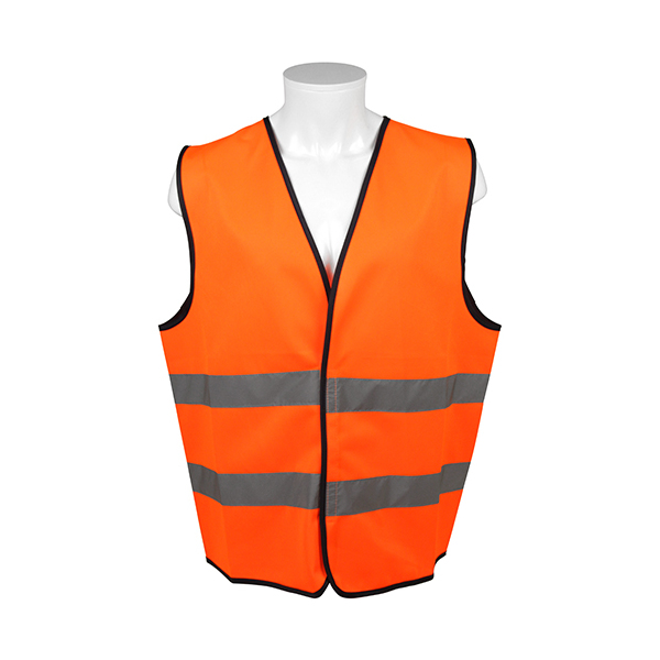 SK11 �����F���x�X�g SK-HiVi-ViO