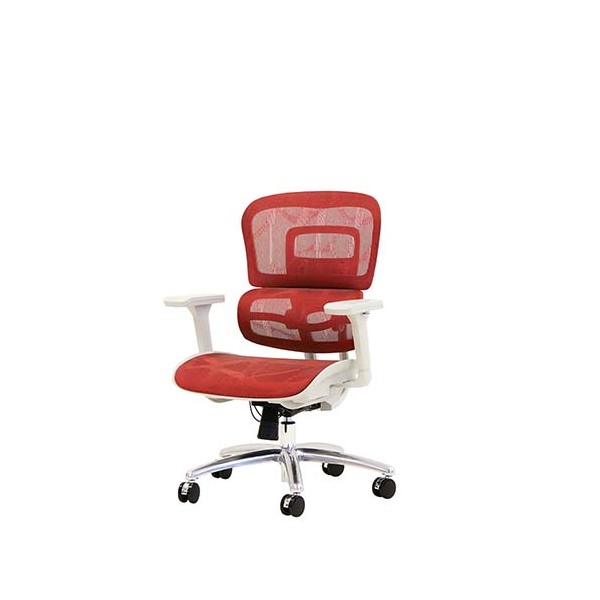 Netforce DP-1-W-RD bh _Ci~NXPro [ItBX`FA (It)]