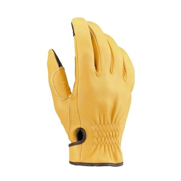 fCgi D96820 HBG-037 D V[g L XL