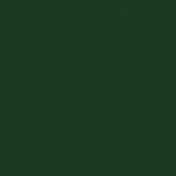 アサヒペン 油性トタン用 14L 緑 [油性塗料] 激安の新品・型落ち・アウトレット 家電 通販 XPRICE エクスプライス (旧  PREMOA プレモア)