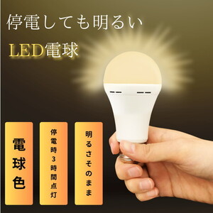 LED電球・LED蛍光灯