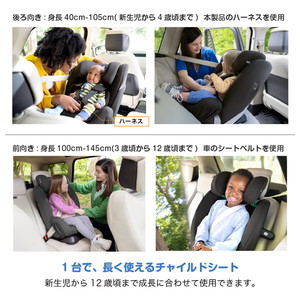 KATOJI Joie チャイルドシート エブリステージR129 シェール 38313