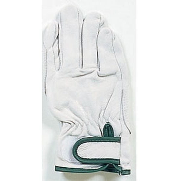 ӂ R24M zCg [؊v ⋭Aet}WbNe[v MTCY]