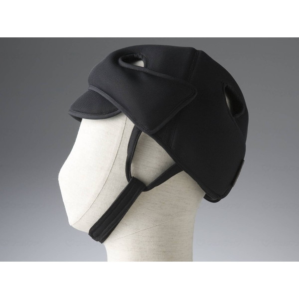 ߗ A{lbgK[hbVD^Cv ubN 2033 ې [J[