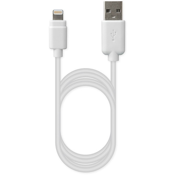 �J�V���� KL-16 �z���C�g [USB�[�d&�����P�[�u�� 1.2m Lightning]