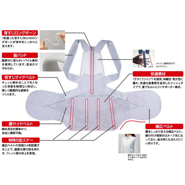 アルファックス 203209 お医者さんの腰から正す姿勢ベルト M-Lサイズ