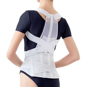 アルファックス お医者さんの腰から正す姿勢ベルト LL-3Lサイズ 203223
