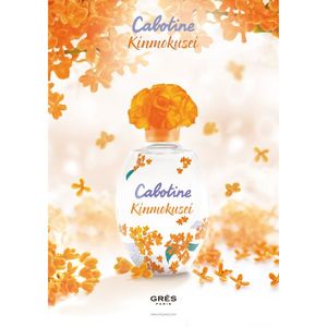 香水（レディース）