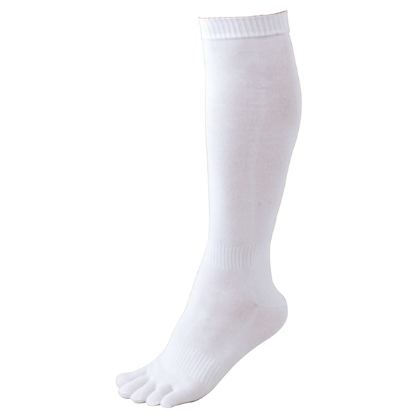 ZETT [bg 싅ANZT[ 3P5{w\bNX zCg 24-27 BK035L 1100