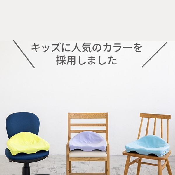 西川 Keepsクッション for Beauty