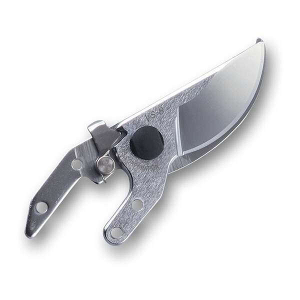 AXR[|[V VS-8-1 uCGXGCg [֐n]