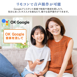 即日受渡❣️全国送料込省エネ三菱65V型地デジBS.CS液晶テレビ外付HDD対応 DVD内蔵液晶テレビ 18年製 20インチ TJ2557（都内で 三菱電機