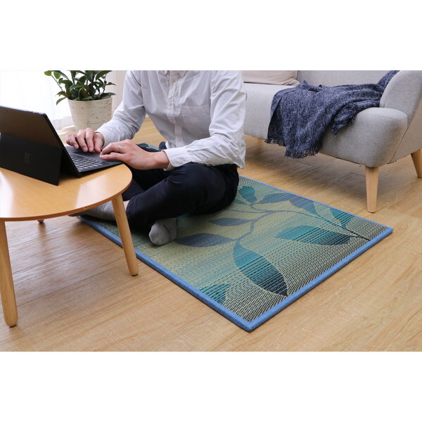 CPqRER[|[V 1040020040313 ~ OEJ[ybgE u O[X u[ 82×164cm