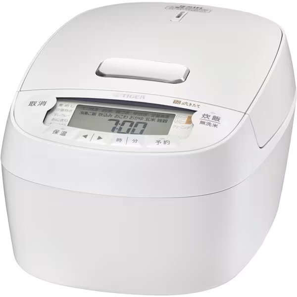 TIGER JPV-X100-WO  ItzCg [IHъ (5.5)]