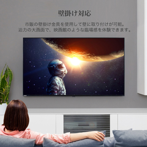 MAXZEN JU55DS06-4K [55型 地上・BS・110度CSデジタル 4K内蔵