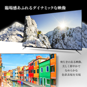 MAXZEN JU55DS06-4K [55型 地上・BS・110度CSデジタル 4K内蔵