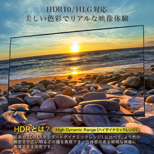 再生品 MAXZEN JU55DS06-4K 55型 地上・BS・110度CSデジタル 4K内蔵 液晶テレビ アウトレット MAXZEN マクスゼン対応 壁掛け金具 40型43型49型50型55型65