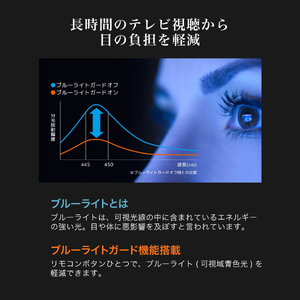 再生品 MAXZEN JU55DS06-4K 55型 地上・BS・110度CSデジタル 4K内蔵 液晶テレビ アウトレット MAXZEN マクスゼン対応 壁掛け金具 40型43型49型50型55型65