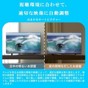 TVS REGZA 24V35N [24V型 地上・BS・CSデジタル ハイビジョン 液晶