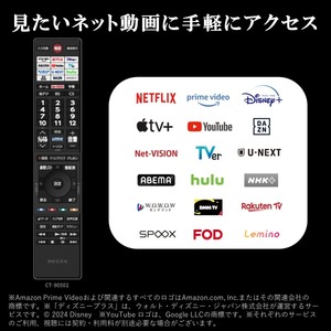 TVS REGZA 24V35N [24V型 地上・BS・CSデジタル ハイビジョン