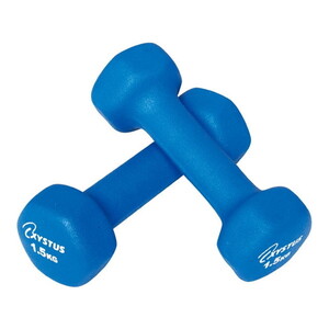 ダンベル/ウェイト