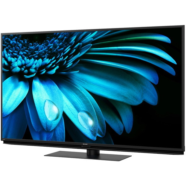 SHARP 4T-C55EL1 AQUOS [55V型 地上・BS・110度CSデジタル 4K内蔵 液晶テレビ] | 激安の新品・型落ち・アウトレット  家電 通販 XPRICE - エクスプライス (旧 PREMOA - プレモア)