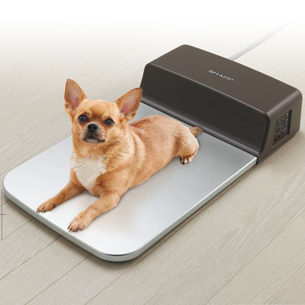 SHARP PL-PT40D-T ペット用冷暖プレート　ヒーター　クーラー Amazon | シャープ 冷暖プレート | シャープ | 水槽 通販