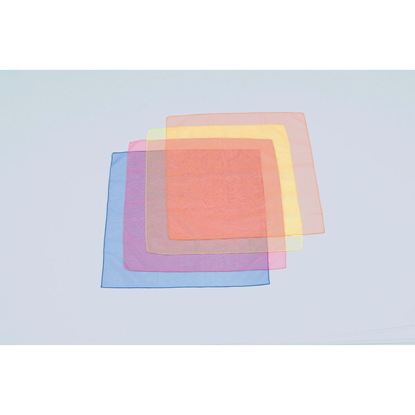 g[GCCg wZ̈ VXJ[t60 4F1g }`J[ B2306