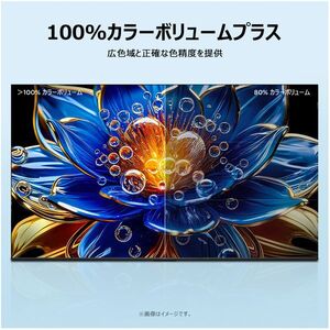 TCL 32S51K [32V型 地上・BS・110度CSデジタル フルハイビジョン